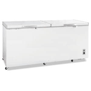 Καταψύκτης Μπαούλο ES830