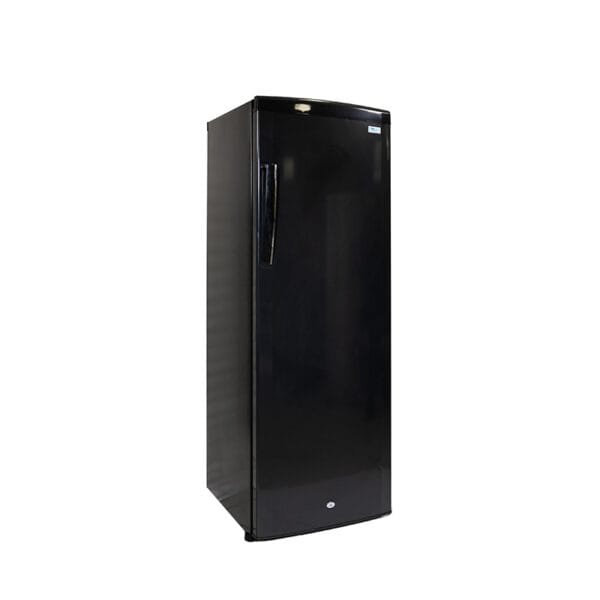 Κατάψυξη Όρθια VF310 Black