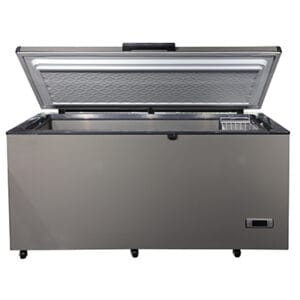 Καταψύκτης Μπαούλο DW-60W206